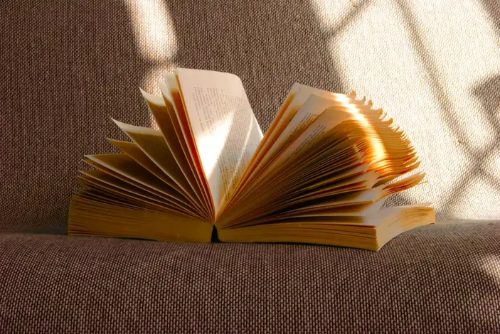 Texas Book Festival panel — writing place-based narrative