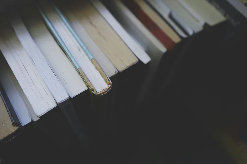 Light shadow books 5 — Portfolio Projects (Portfolio / resume).