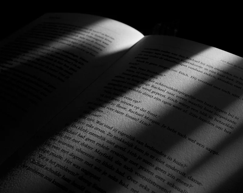 Light shadow books 7 — Portfolio Projects (Portfolio / resume).